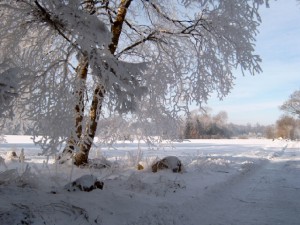 3 TIPS I VINTERKULDEN