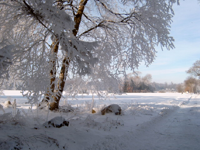 3 TIPS I VINTERKULDEN