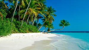 DE 15 BEDSTE APPS OG SITES TIL REJSEN