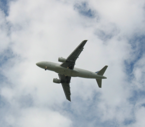 LILLE FLY PÅ HIMLEN DER…