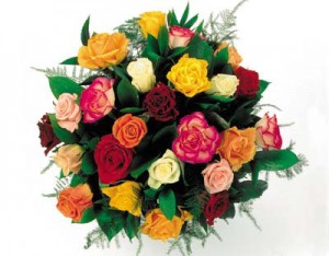 HVEM FORTJENER EN BUKET LIGE NU? VI HAR TESTET INTERFLORA APP