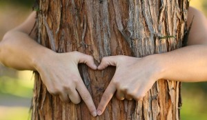 SOCIALT NETVÆRK DELER GRØN LIVSSTIL