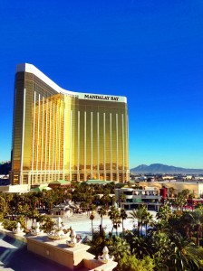 DAG 1 PÅ CES- CONNECTIVITY OG MEST VELKLÆDTE BRAND