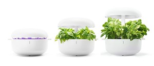Smart Garden til dit køkkenbord