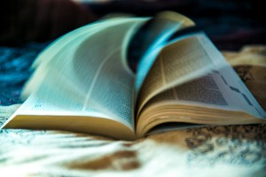 Sådan bliver du klogere på 15 minutter