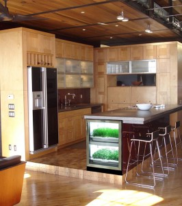 Den vildeste køkkengadget: Automatisk drivhus i køkkenet