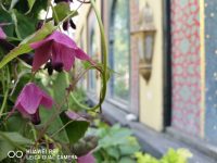 Vind: Huawei P9 med Leica-kamera værdi 3999 kr