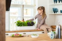 Dyrk dine egne grøntsager indendørs