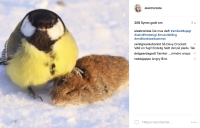 Christiane: Sådan bruger jeg Instagram