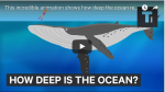 Så dybt er havet! (nok dybere end du tror)