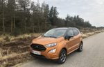 Elektronista tester SUV light- Ford EcoSport