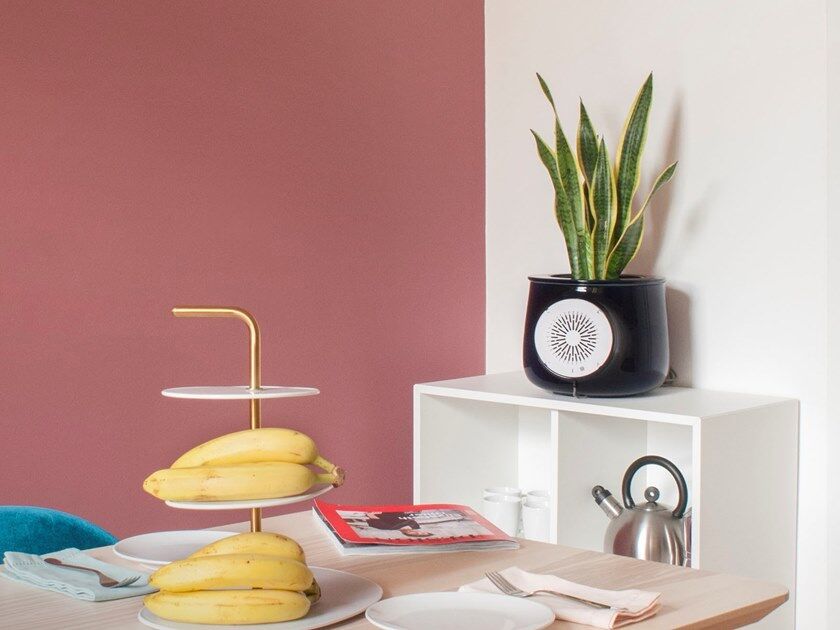 Gadget:High tech potteplante renser luften