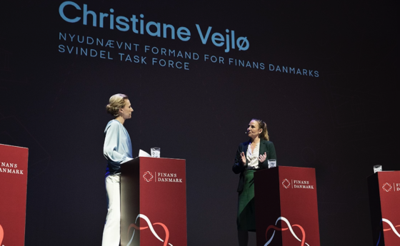 Vejlø formand for ny task force mod digital svindel