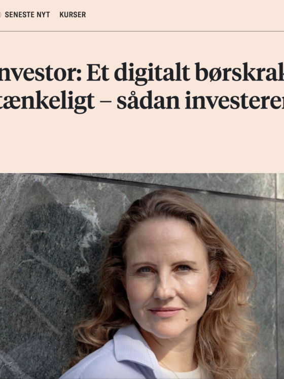 Vejlø i Børsen: I investeringer handler det ikke kun om økonomisk afkast