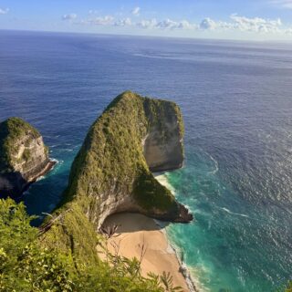 Vi har ingen vatrondeller